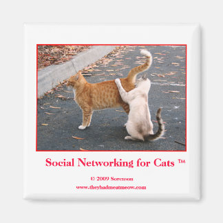 Réseaux sociaux pour le Magnet des chats