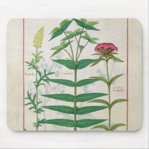 Reseda, Euphorbiengummi und Dianthus Mousepad