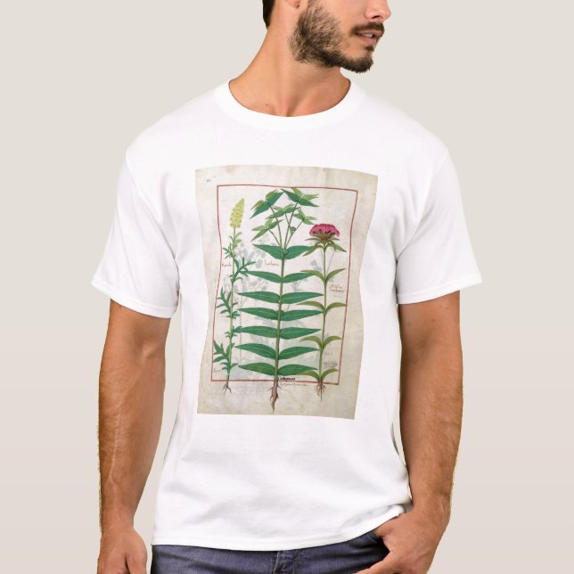 Reseda, Euphorbiengummi und Dianthus T-Shirt (Vorderseite)
