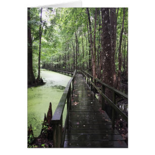 réserve côtière de santee