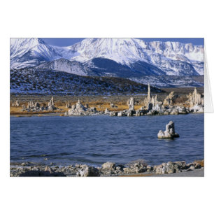 RÉSERVE NATURELLE ÉTATIQUE DE MONO LAKE TUFA,