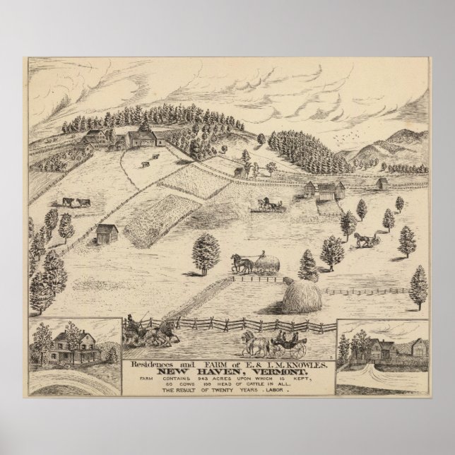 Residences and farm in New Haven Poster (Vorne)