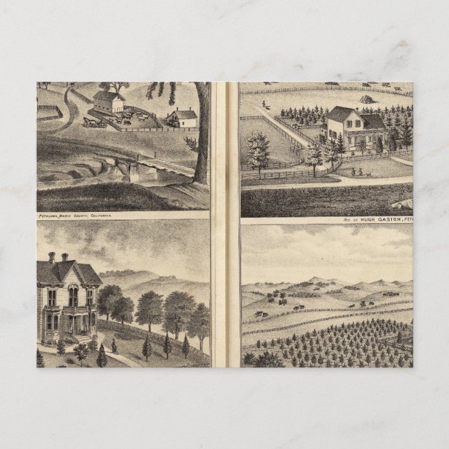Residences WA Lewis, John Fritsch, Hugh Gaston Postkarte (Vorderseite)