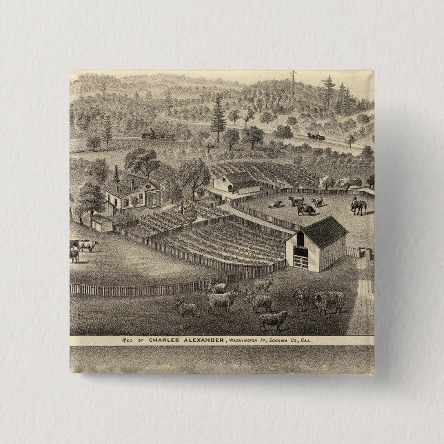 Residenz Charles Alexander Button (Vorderseite)