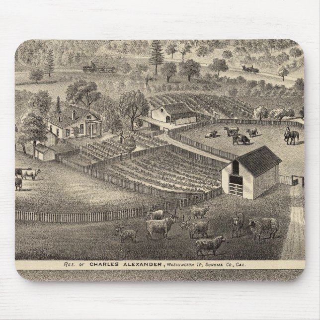 Residenz Charles Alexander Mousepad (Vorne)
