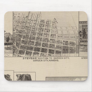 Residenzen in Kansas Mousepad
