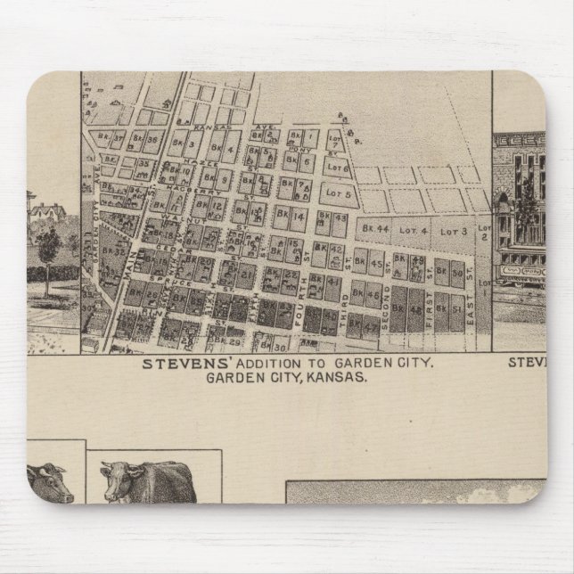 Residenzen in Kansas Mousepad (Vorne)