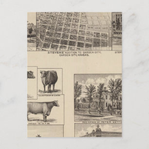 Residenzen in Kansas Postkarte