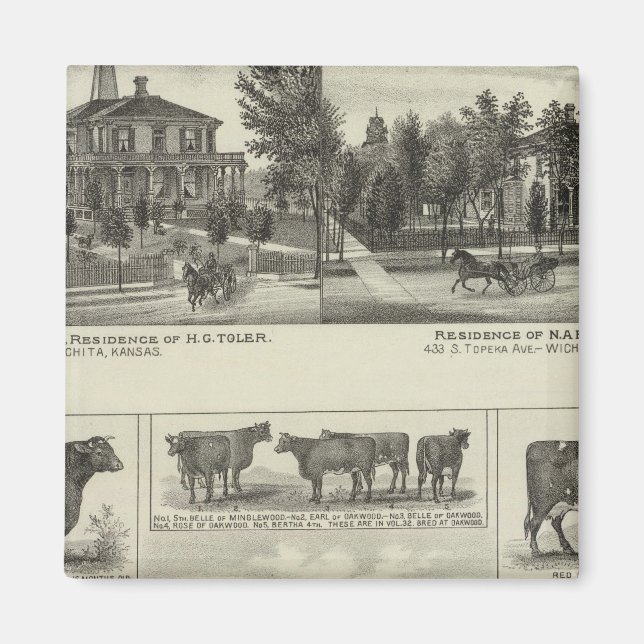 Residenzen und Zuchtbetrieb, Wichita, Kansas Magnet (Vorne)