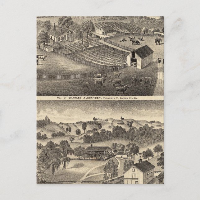 Residenzen von Charles Alexander Postkarte (Vorderseite)