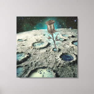 RESILIENCE Leinwand Mauer Art   m3galleryStudio