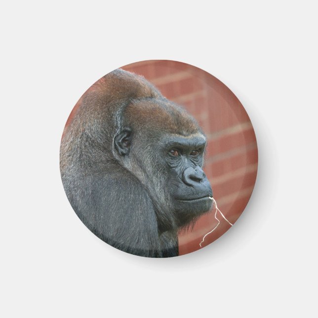 Resilient Gorilla Mother Magnet (Vorne)
