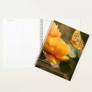 Resilienzkalender Planer