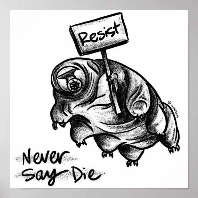 Resistenz Tardigrade Poster (Vorne)