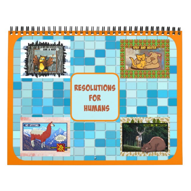 Résolutions pour le calendrier humain (taille moye (Protection)