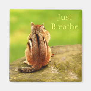 Respirez le aimant Chipmunk