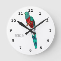 Resplendent quetzal bird cartoon illustration 