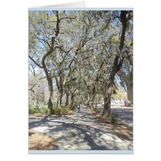 Ressort dans la savane