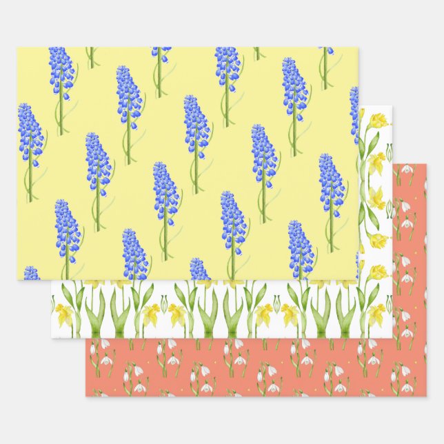 Ressort terne sur feuilles de papier d'emballage ( (Lot)