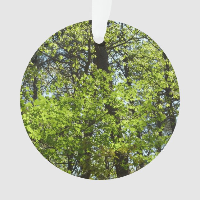 Ressource Feuille (devant)