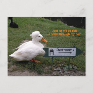 Rest Room Duck Postkarte