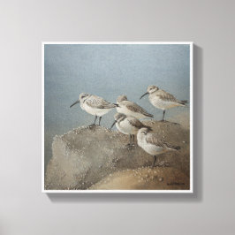 Restaurieren von Sanderlings #2 Gemälde von Ezarte Leinwanddruck