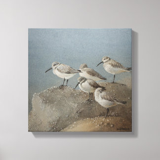 Restaurieren von Sanderlings #2 Gemälde von Ezarte Leinwanddruck