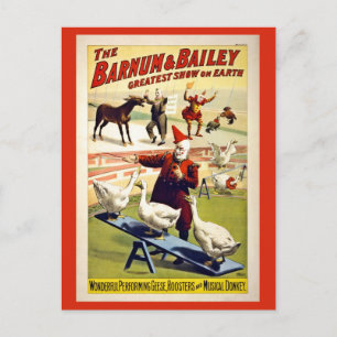 Restauriert, Barnum und Bailey, Gänse und Esel Postkarte