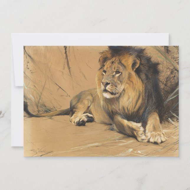 Restbeleuchtung | Wilhelm Kuhnert (Vorderseite)