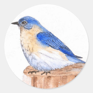 Resting Bluebird Runder Aufkleber