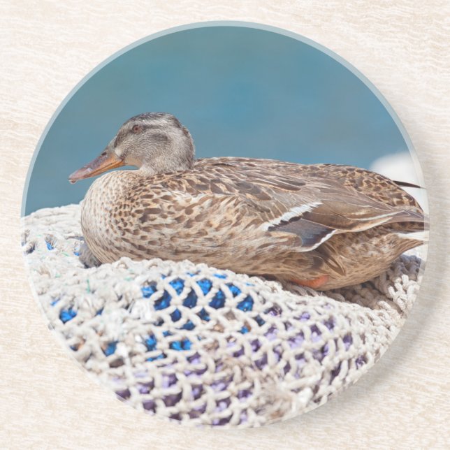 Resting Duck Getränkeuntersetzer (Vorne)