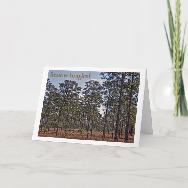 Restore Longleaf Karte (Vorderseite)