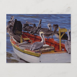 Restzeit, Venezuela Postkarte