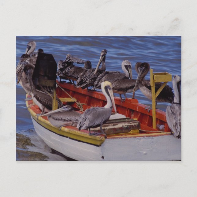 Restzeit, Venezuela Postkarte (Vorderseite)