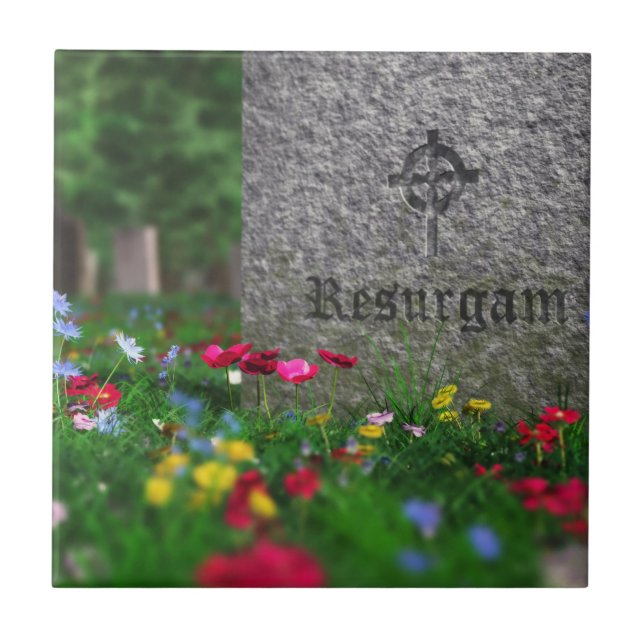 Resurgam Decorative Tile Fliese (Vorderseite)