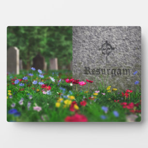 Resurgam Plaque Fotoplatte