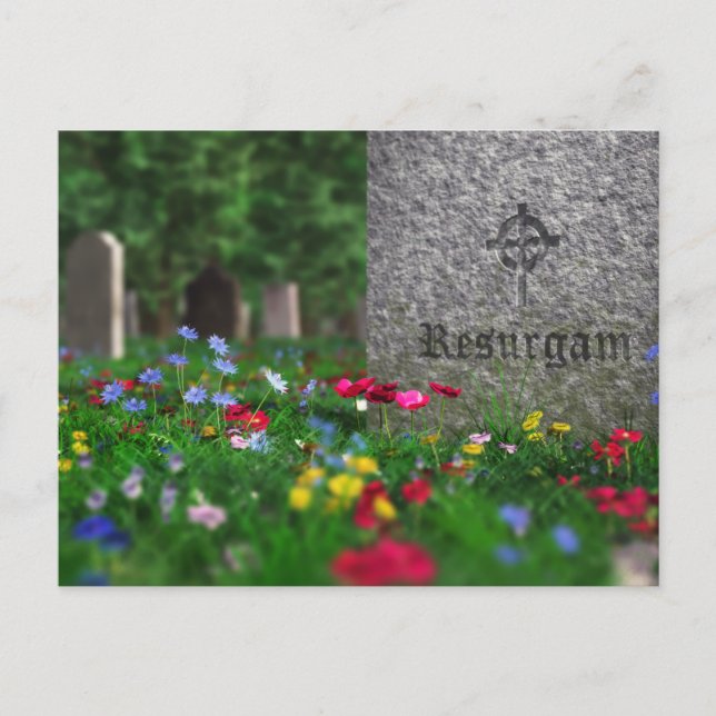 Resurgam Postcard Postkarte (Vorderseite)