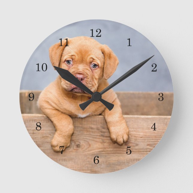 Retcue Dogue de Bordeaux Puppy French Mastiff Runde Wanduhr (Vorderseite)