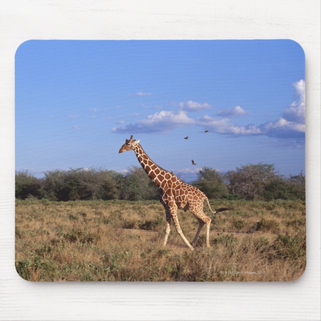 Reticulierte Giraffe Mousepad (Vorne)