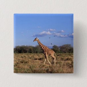 Retikulierte Giraffe 2 Button