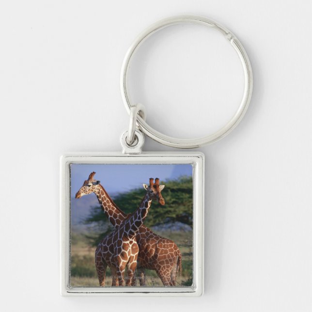 Retikulierte Giraffe 2 Schlüsselanhänger (Vorne)
