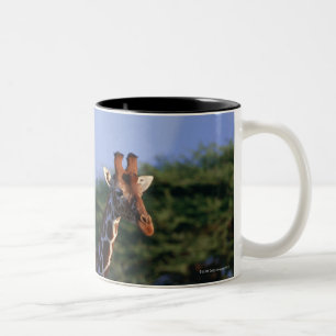 Retikulierte Giraffe 2 Zweifarbige Tasse
