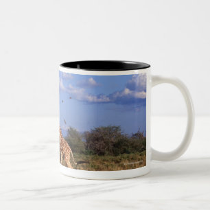 Retikulierte Giraffe 2 Zweifarbige Tasse