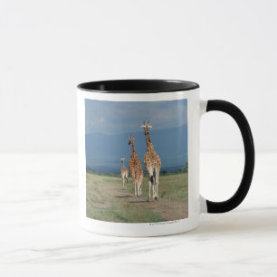 Retikulierte Giraffe (Giraffa camelopardalis) 2 Tasse