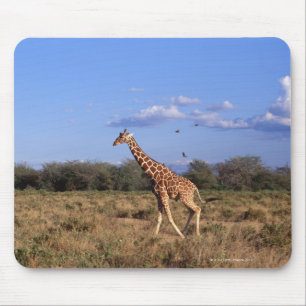 Retikulierte Giraffe Mousepad