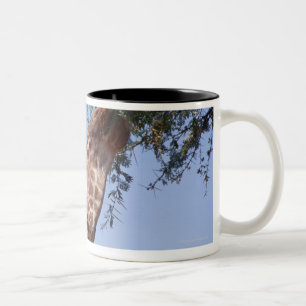 Retikulierte Giraffe Zweifarbige Tasse