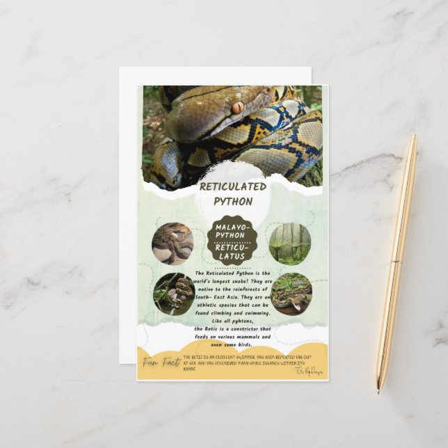 Retikulierte Python-Care-Tabelle (Vorderseite/Rückseite Beispiel)