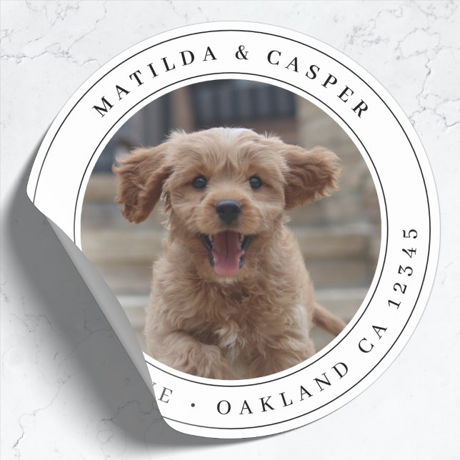 Retourner Adresse Chien Photo Classic Sticker Rond (Créateur téléchargé)