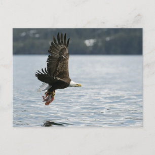 Retrieval Postkarte