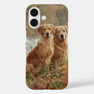 Retriever Buddies iPhone 16 Hülle